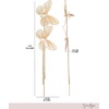 image:imageJessica Simpson GoldTone Butterfly Earrings for Women Drop or HoopGold Tassel Butterfly