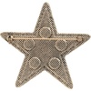 image:imageJessica Simpson Silver or GoldTone Brooch for WomenGold Turquoise Star