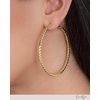 image:imageJessica Simpson Womens Hoop Earrings  SilverTone or GoldTone HoopGold Omega