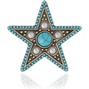 image:imageJessica Simpson Silver or GoldTone Brooch for WomenGold Turquoise Star